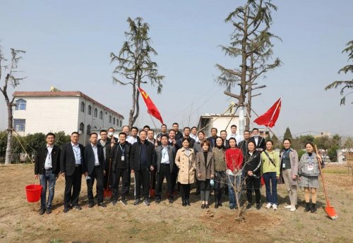 太和县人民医院党员开展义务植树活动