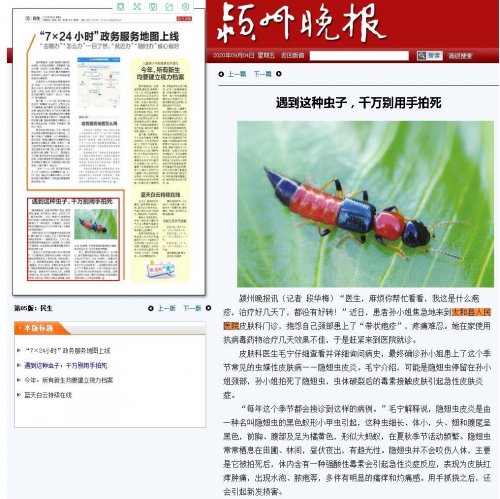 《颍州晚报》09月04日第05版民生：遇到这种虫子，千万别用手拍死