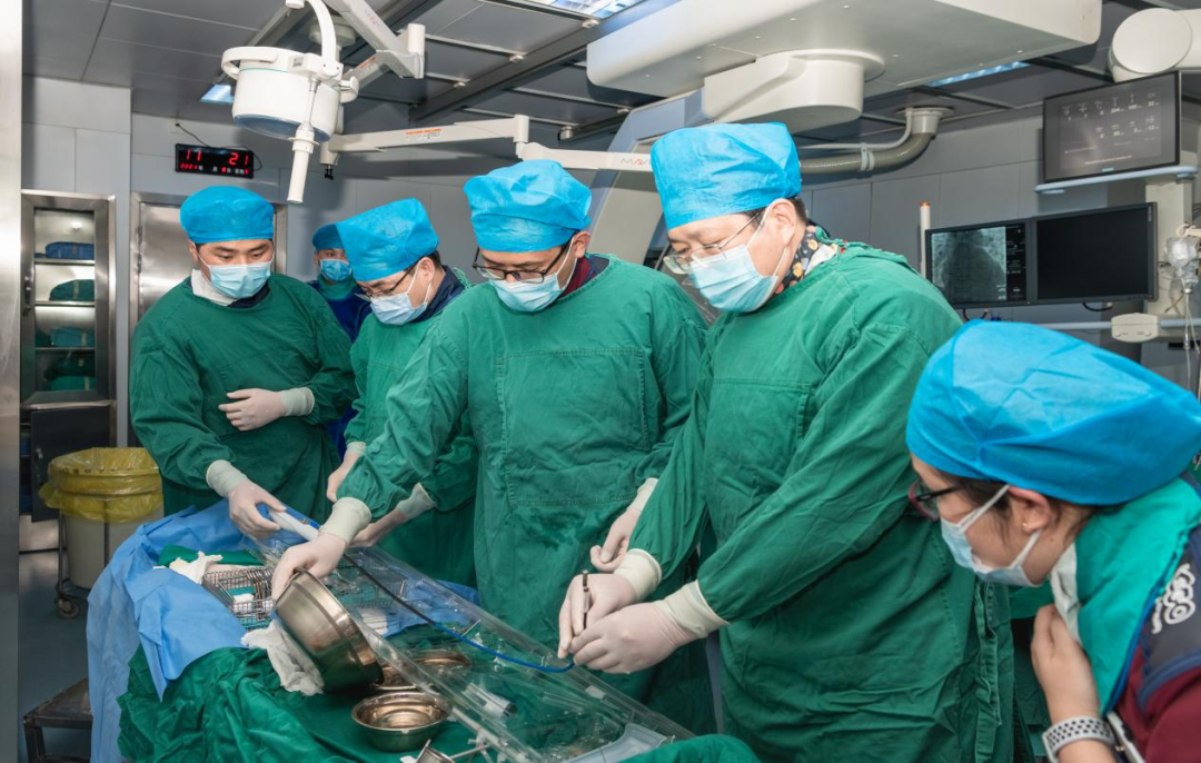 太和县人民医院成功完成无导线起搏器植入